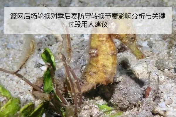 篮网后场轮换对季后赛防守转换节奏影响分析与关键时段用人建议