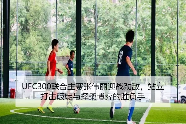 UFC300联合主赛张伟丽迎战劲敌，站立打击破绽与摔柔博弈的胜负手